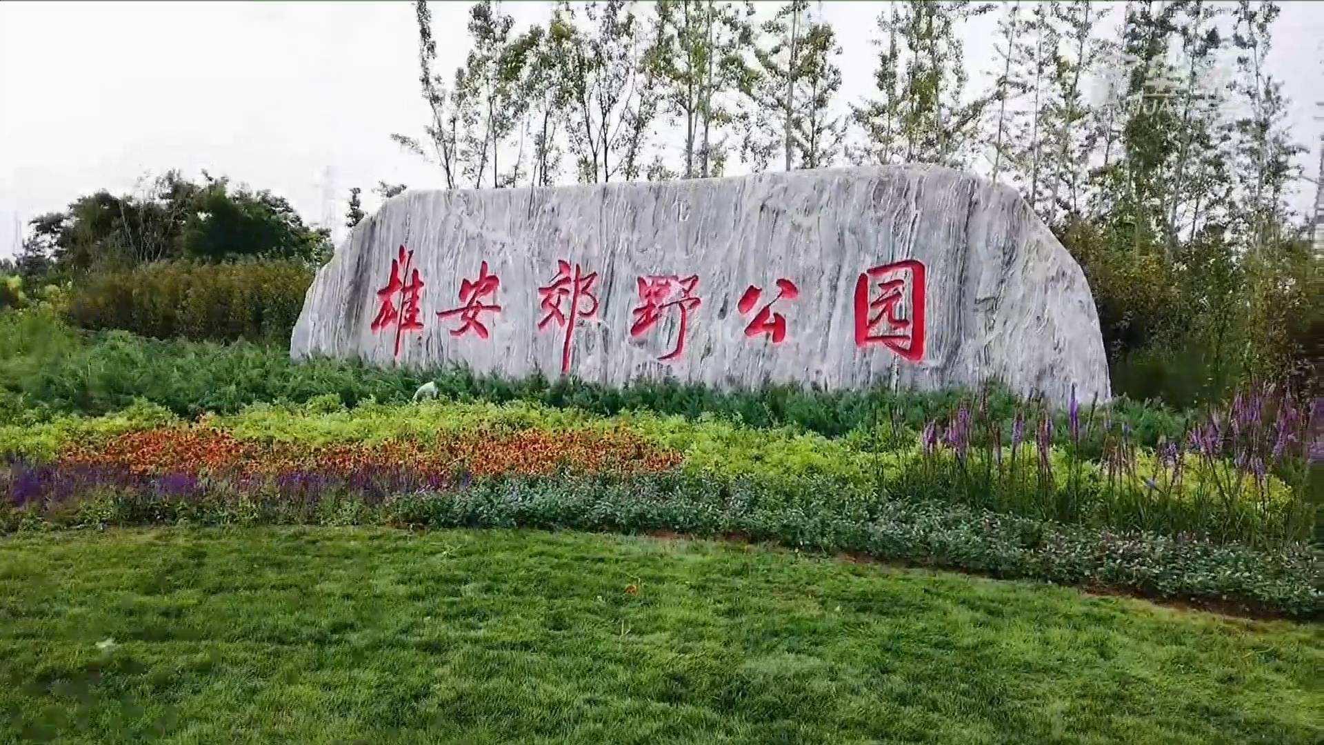 918博天堂(中国区)官方网站电气雄安郊野公园建设工程及配套设施项目